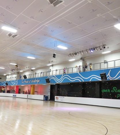 SmartSeam_Roller-RInk.jpg